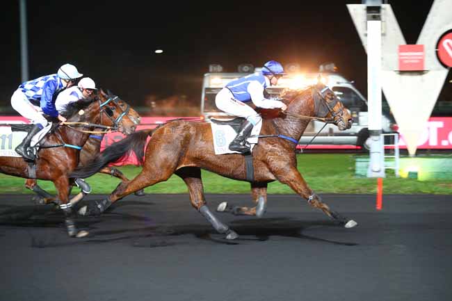 Photo d'arrivée de la course pmu PRIX HYPERION à PARIS-VINCENNES le Vendredi 16 novembre 2018