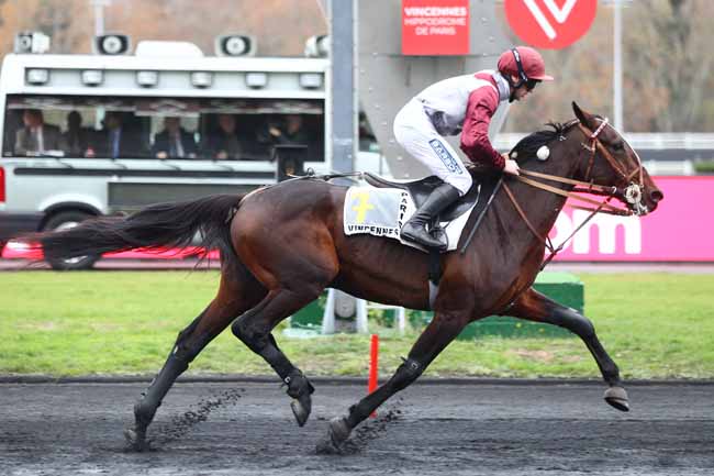 Photo d'arrivée de la course pmu PRIX EDMOND HENRY à PARIS-VINCENNES le Lundi 19 novembre 2018