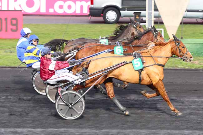 Photo d'arrivée de la course pmu PRIX DE LOUDUN à PARIS-VINCENNES le Lundi 19 novembre 2018