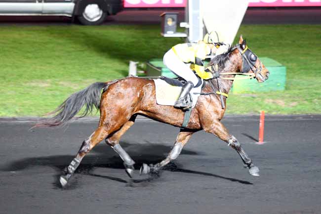 Photo d'arrivée de la course pmu PRIX DE CORMELLES à PARIS-VINCENNES le Lundi 19 novembre 2018