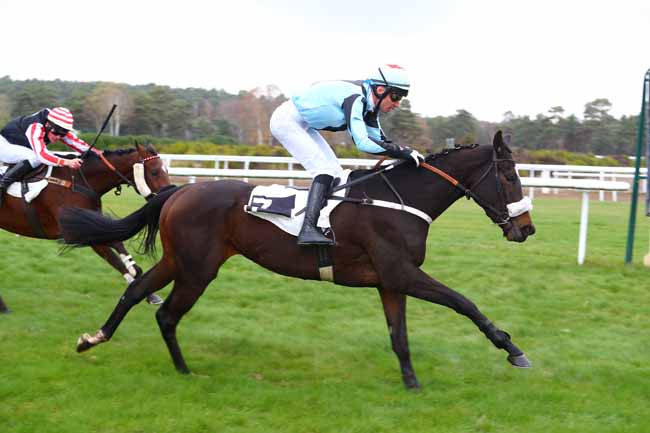 Photo d'arrivée de la course pmu PRIX DU MONT USSY à FONTAINEBLEAU le Lundi 19 novembre 2018