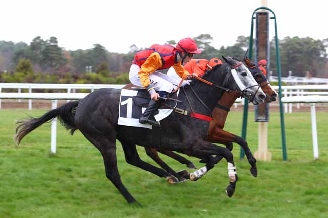 Photo d'arrivée de la course pmu PRIX DE LA ROUTE DES DEUX SOEURS à FONTAINEBLEAU le Lundi 19 novembre 2018