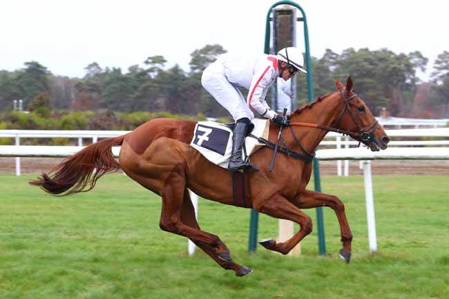 Photo d'arrivée de la course pmu PRIX DES GRANDS FEUILLARDS à FONTAINEBLEAU le Lundi 19 novembre 2018