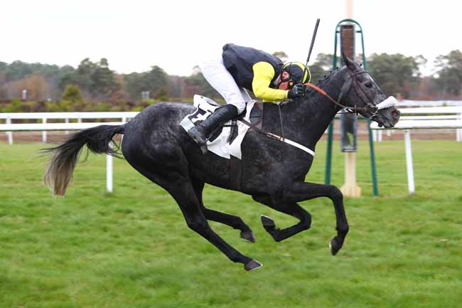 Photo d'arrivée de la course pmu PRIX DE THOMERY à FONTAINEBLEAU le Lundi 19 novembre 2018