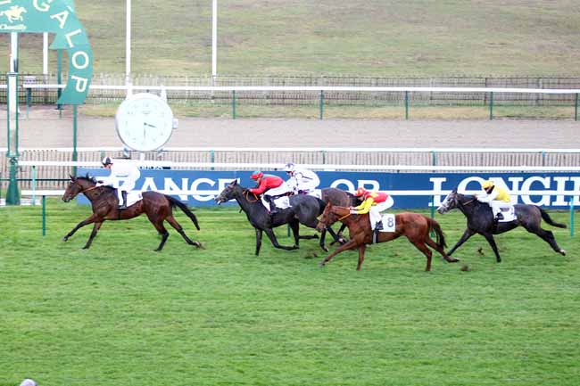 Photo d'arrivée de la course pmu PRIX HEROD à CHANTILLY le Mardi 20 novembre 2018