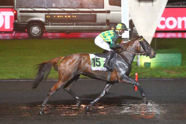 Photo d'arrivée de la course pmu PRIX HERMENTARIA à PARIS-VINCENNES le Vendredi 23 novembre 2018