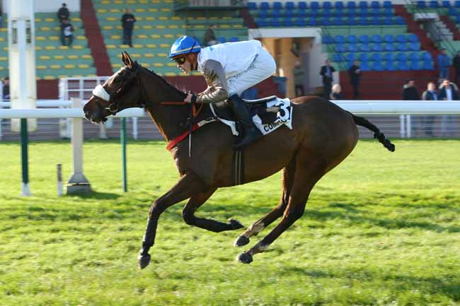 Photo d'arrivée de la course pmu PRIX DU TREPORT à COMPIEGNE le Vendredi 23 novembre 2018