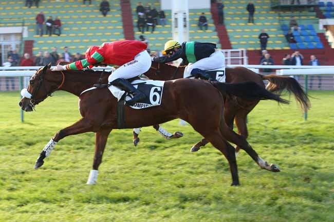 Photo d'arrivée de la course pmu PRIX ROGER DE MINVIELLE à COMPIEGNE le Vendredi 23 novembre 2018