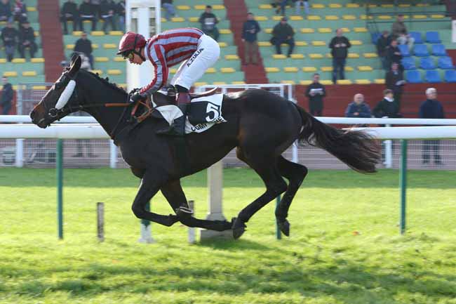 Photo d'arrivée de la course pmu PRIX DE CRAON à COMPIEGNE le Vendredi 23 novembre 2018