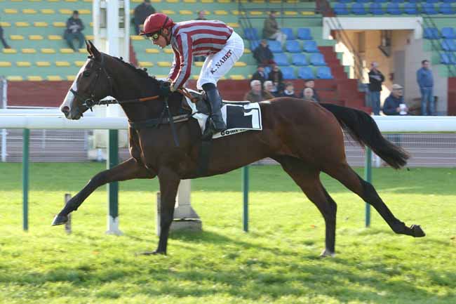 Photo d'arrivée de la course pmu PRIX GENERAL DE SAINT-DIDIER à COMPIEGNE le Vendredi 23 novembre 2018