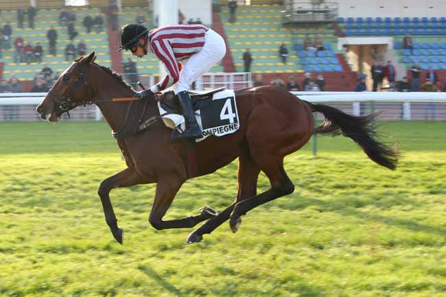 Photo d'arrivée de la course pmu PRIX ROBERVAL à COMPIEGNE le Vendredi 23 novembre 2018