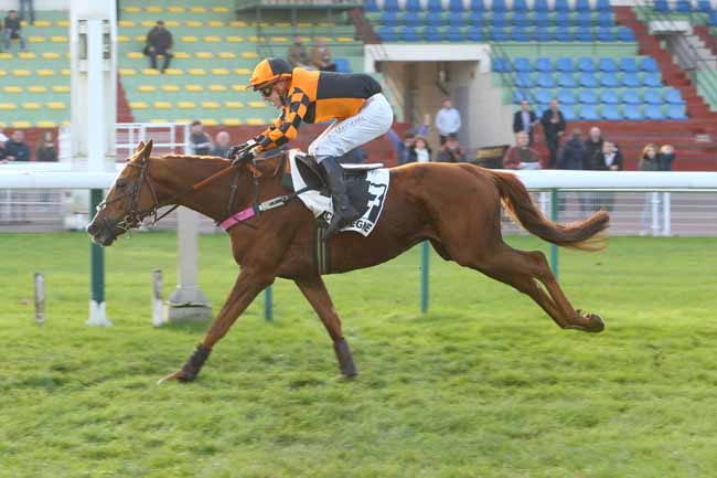 Photo d'arrivée de la course pmu PRIX LEOPOLD D'ORSETTI - GRANDE COURSE DE HAIES DE COMPIEGNE à COMPIEGNE le Vendredi 23 novembre 2018