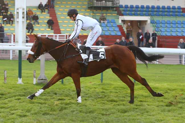 Photo d'arrivée de la course pmu PRIX DES COUDRAIES à COMPIEGNE le Vendredi 23 novembre 2018