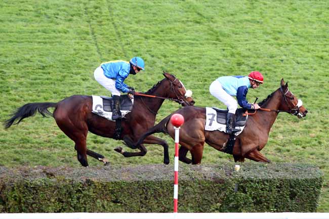 Photo d'arrivée de la course pmu PRIX JACQUES DE VIENNE à SAINT-CLOUD le Vendredi 23 novembre 2018