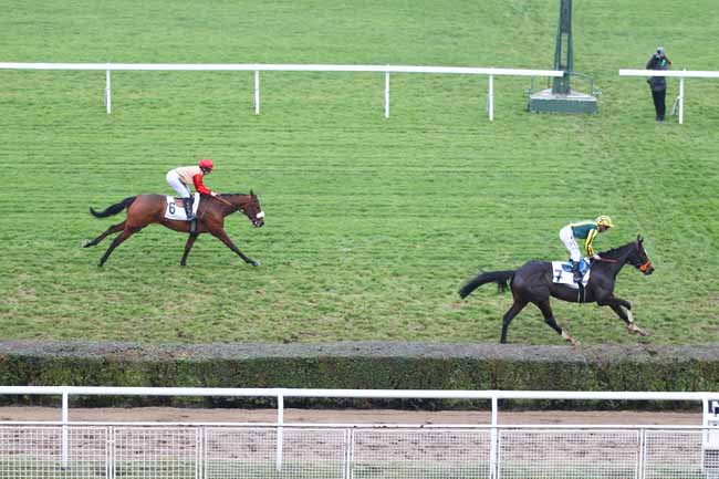 Photo d'arrivée de la course pmu PRIX DE SAINT-MARTIN-DU-CHENE à SAINT-CLOUD le Vendredi 23 novembre 2018