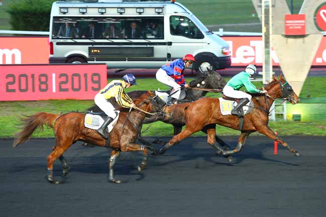 Photo d'arrivée de la course pmu PRIX DE THOISSEY à PARIS-VINCENNES le Samedi 24 novembre 2018