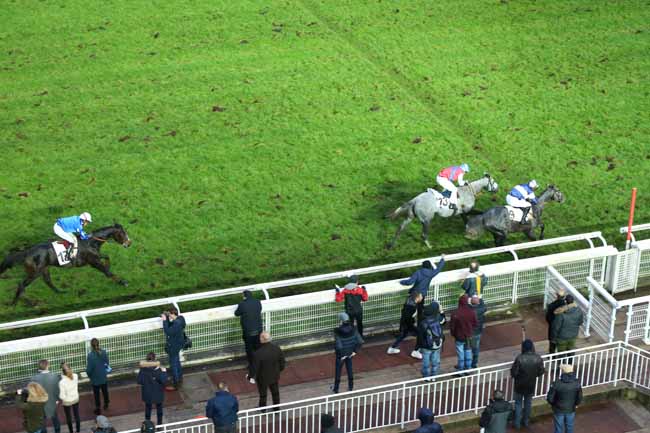 Photo d'arrivée de la course pmu PRIX MERCI JACQUES RICOU à AUTEUIL le Dimanche 25 novembre 2018