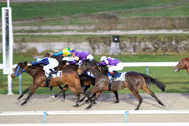 Photo d'arrivée de la course pmu PRIX DU PLATEAU DE MADRIE à DEAUVILLE le Mardi 27 novembre 2018
