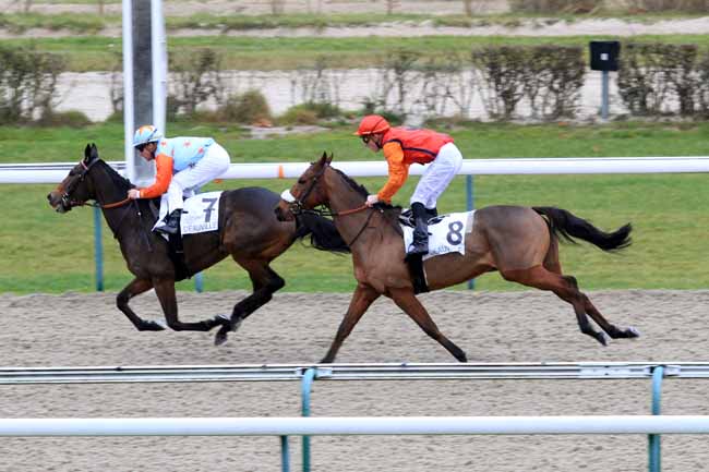 Photo d'arrivée de la course pmu PRIX DU BOCAGE FLERIEN à DEAUVILLE le Mardi 27 novembre 2018