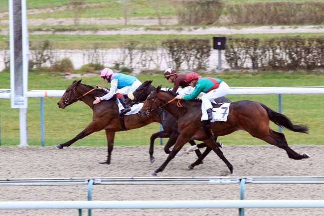 Photo d'arrivée de la course pmu PRIX HABITAT à DEAUVILLE le Mardi 27 novembre 2018