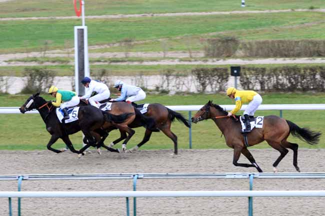 Photo d'arrivée de la course pmu PRIX DU VEXIN BOSSU à DEAUVILLE le Mardi 27 novembre 2018