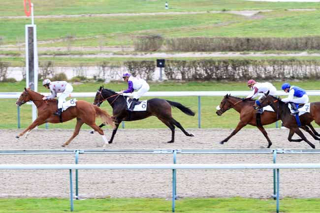Photo d'arrivée de la course pmu PRIX DE L'EPRONNIERE à DEAUVILLE le Mardi 27 novembre 2018