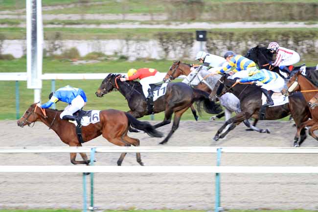 Photo d'arrivée de la course pmu PRIX DU PAYS DE CAUX à DEAUVILLE le Mardi 27 novembre 2018