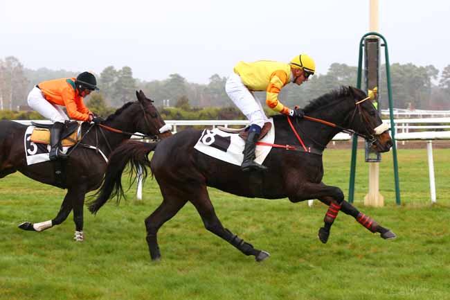 Photo d'arrivée de la course pmu PRIX COLONEL BERNARD MARLIN à FONTAINEBLEAU le Mardi 27 novembre 2018