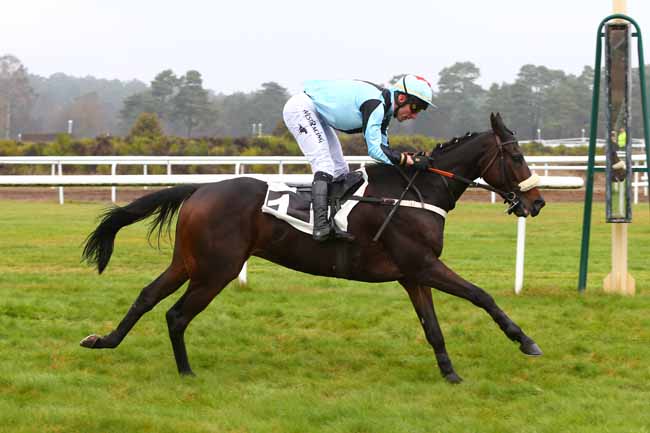 Photo d'arrivée de la course pmu PRIX DES GORGES D'APREMONT à FONTAINEBLEAU le Mardi 27 novembre 2018