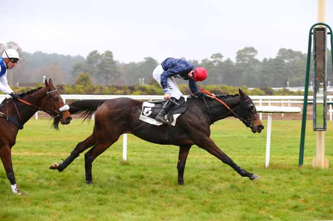 Photo d'arrivée de la course pmu PRIX DE MACHERIN à FONTAINEBLEAU le Mardi 27 novembre 2018