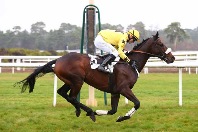 Photo d'arrivée de la course pmu GRANDE COURSE DE HAIES DE FONTAINEBLEAU à FONTAINEBLEAU le Mardi 27 novembre 2018