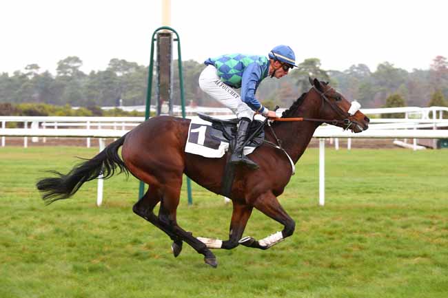 Photo d'arrivée de la course pmu PRIX TREMAILLE à FONTAINEBLEAU le Mardi 27 novembre 2018