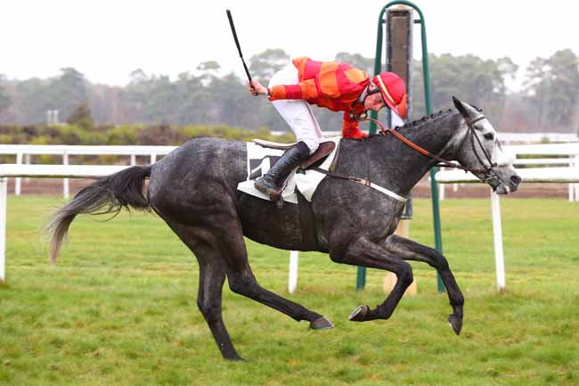 Photo d'arrivée de la course pmu PRIX DE LA GROTTE DES ERMITES à FONTAINEBLEAU le Mardi 27 novembre 2018