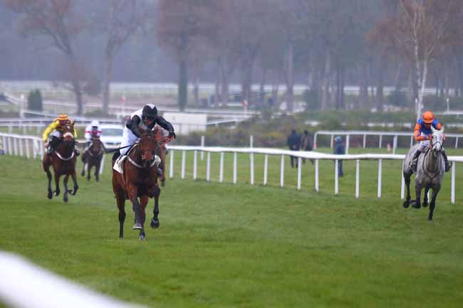 Photo d'arrivée de la course pmu PRIX DE LA FONTAINE AUX BICHES - PRIX BERNARD SECLY à FONTAINEBLEAU le Mardi 27 novembre 2018