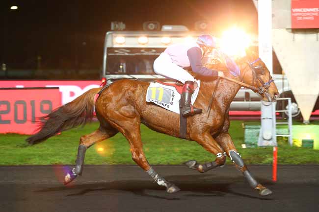 Photo d'arrivée de la course pmu PRIX ALBERT LIBEER à PARIS-VINCENNES le Mardi 27 novembre 2018