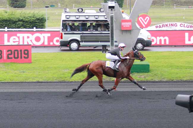 Photo d'arrivée de la course pmu PRIX D'HARFLEUR à PARIS-VINCENNES le Mercredi 28 novembre 2018