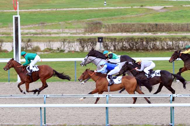 Photo d'arrivée de la course pmu PRIX DE LA POMMERAIE à DEAUVILLE le Mercredi 28 novembre 2018
