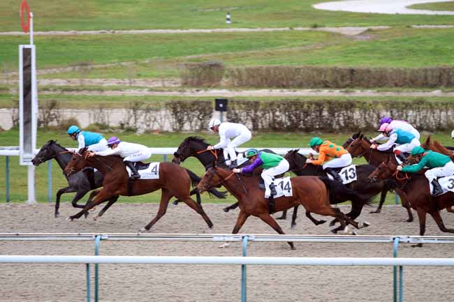 Photo d'arrivée de la course pmu PRIX DE LA CERISAIE à DEAUVILLE le Mercredi 28 novembre 2018