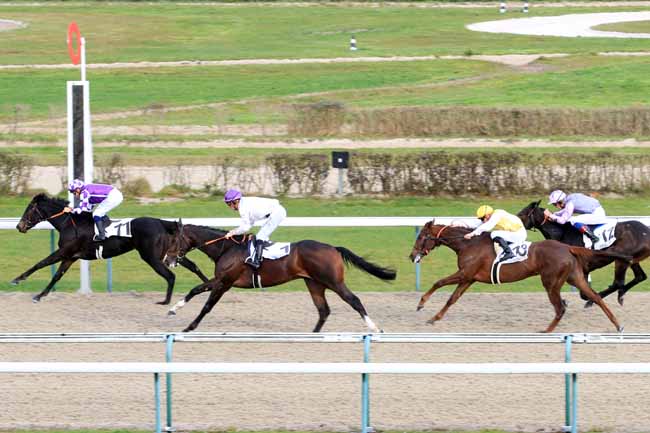 Photo d'arrivée de la course pmu PRIX DE LA PLACIERE à DEAUVILLE le Mercredi 28 novembre 2018