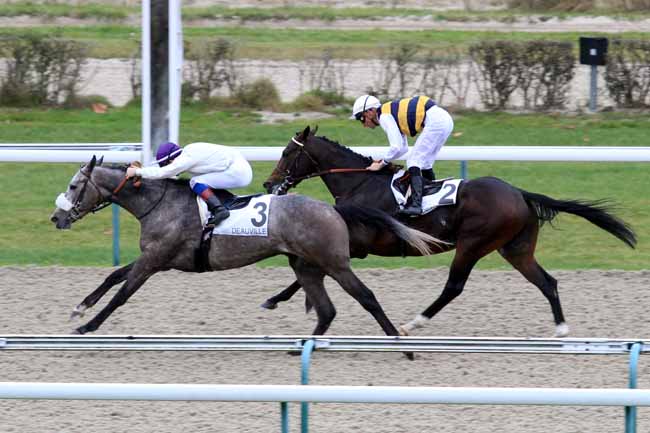 Photo d'arrivée de la course pmu PRIX DU CHEMIN DE TAUX à DEAUVILLE le Mercredi 28 novembre 2018