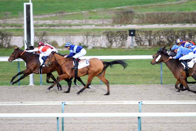 Photo d'arrivée de la course pmu PRIX D'ENGERVILLE à DEAUVILLE le Mercredi 28 novembre 2018