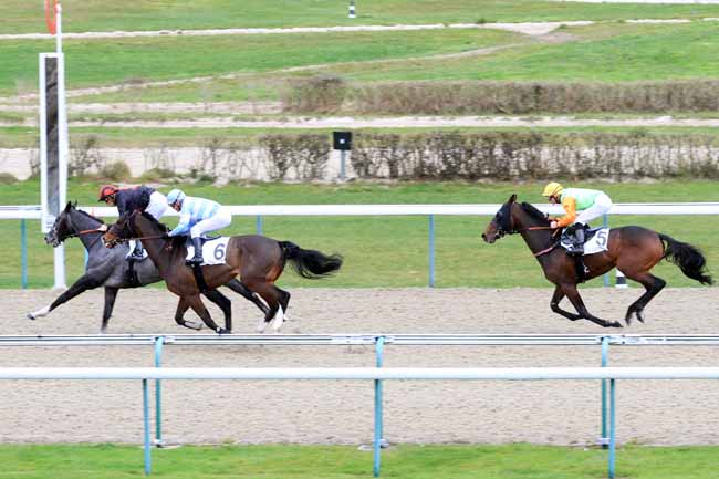 Photo d'arrivée de la course pmu PRIX DE DOMFRONT à DEAUVILLE le Jeudi 29 novembre 2018