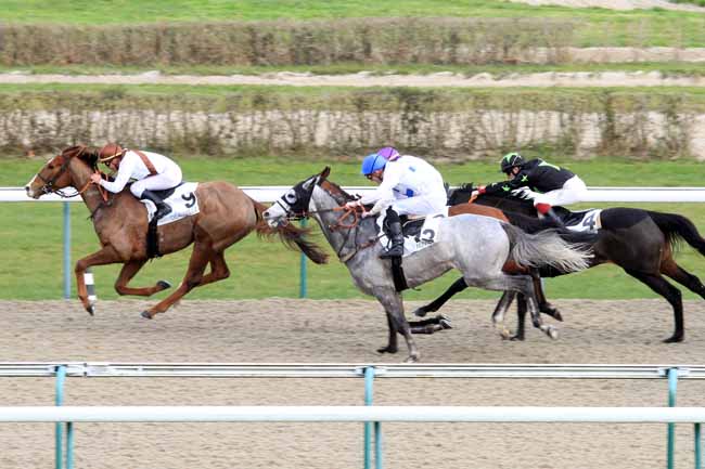 Photo d'arrivée de la course pmu PRIX DES COGNASSIERS à DEAUVILLE le Jeudi 29 novembre 2018