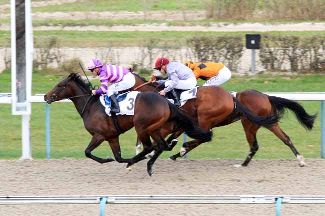 Photo d'arrivée de la course pmu PRIX DE L'HOTELLERIE à DEAUVILLE le Jeudi 29 novembre 2018