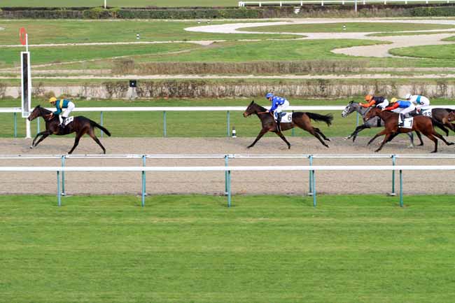 Photo d'arrivée de la course pmu PRIX DE LA ROQUE à DEAUVILLE le Jeudi 29 novembre 2018