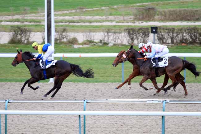 Photo d'arrivée de la course pmu PRIX DES PRUNIERS à DEAUVILLE le Jeudi 29 novembre 2018