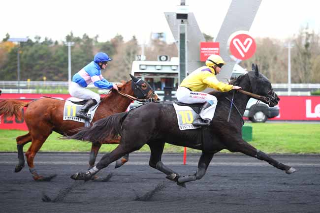 Photo d'arrivée de la course pmu PRIX DE LOUVIGNE-DU-DESERT à PARIS-VINCENNES le Jeudi 29 novembre 2018