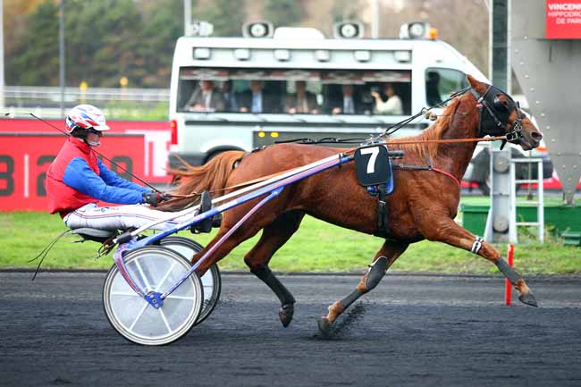Photo d'arrivée de la course pmu PRIX DES AZALEES à PARIS-VINCENNES le Jeudi 29 novembre 2018