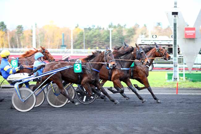 Photo d'arrivée de la course pmu PRIX DE BEAUVOIR à PARIS-VINCENNES le Jeudi 29 novembre 2018