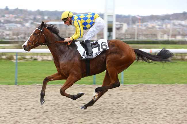 Photo d'arrivée de la course pmu PRIX D'OCCAGNES à DEAUVILLE le Mercredi 5 décembre 2018